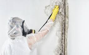 Mold Remediation for Vacation Homes in Westworth Village, TX